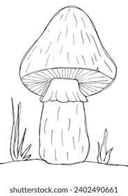 Outline illustration vector image of a mushroom.
Hand drawn artwork of a fungus.
Simple cute original logo.
Hand drawn vector illustration for posters, cards, t-shirts.