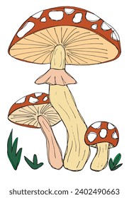 Outline illustration vector image of a mushroom.
Hand drawn artwork of a fungus.
Simple cute original logo.
Hand drawn vector illustration for posters, cards, t-shirts.