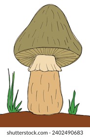 Outline illustration vector image of a mushroom.
Hand drawn artwork of a fungus.
Simple cute original logo.
Hand drawn vector illustration for posters, cards, t-shirts.