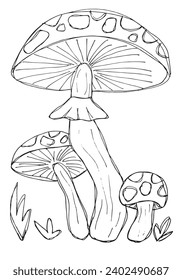 Outline illustration vector image of a mushroom.
Hand drawn artwork of a fungus.
Simple cute original logo.
Hand drawn vector illustration for posters, cards, t-shirts.