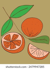 Outline illustration vector image of an orange.
Hand drawn artwork of an orange.
Simple cute original logo.
Hand drawn vector illustration for posters.