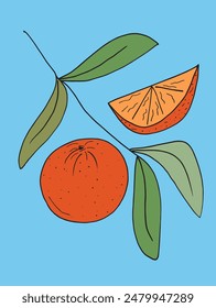 Outline illustration vector image of an orange.
Hand drawn artwork of an orange.
Simple cute original logo.
Hand drawn vector illustration for posters.