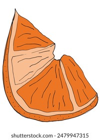 Outline illustration vector image of an orange.
Hand drawn artwork of an orange.
Simple cute original logo.
Hand drawn vector illustration for posters.