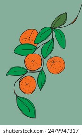 Gliederung Illustration Vektorgrafik Bild einer Orange.
Handgezeichnetes Kunstwerk einer Orange.
Einfaches, niedliches Original-Logo.
Handgezeichnete Vektorillustration für Poster.