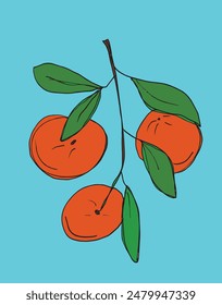 Outline illustration vector image of an orange.
Hand drawn artwork of an orange.
Simple cute original logo.
Hand drawn vector illustration for posters.