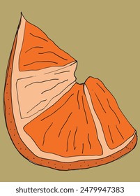 Outline illustration vector image of an orange.
Hand drawn artwork of an orange.
Simple cute original logo.
Hand drawn vector illustration for posters.