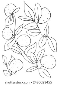 Outline illustration vector image of an orange.
Hand drawn artwork of an orange.
Simple cute original logo.
Hand drawn vector illustration for posters.