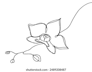 Umriss Illustration Vektorgrafik Bild einer Orchidee.
Handgezeichnetes Kunstwerk einer Orchidee.
Einfaches, niedliches Original-Logo.
Handgezeichnete Vektorillustration für Poster.