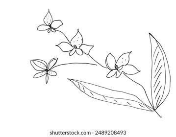 Outline illustration vector image of an orchid.
Hand drawn artwork of an orchid.
Simple cute original logo.
Hand drawn vector illustration for posters.