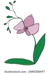 Outline illustration vector image of an orchid.
Hand drawn artwork of an orchid.
Simple cute original logo.
Hand drawn vector illustration for posters.