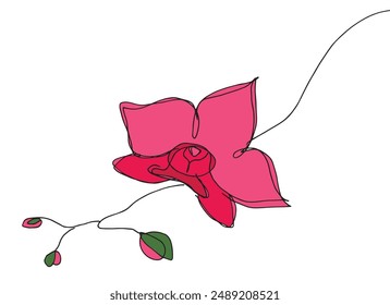 Outline illustration vector image of an orchid.
Hand drawn artwork of an orchid.
Simple cute original logo.
Hand drawn vector illustration for posters.