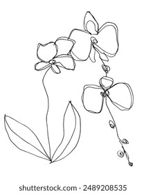 Outline illustration vector image of an orchid.
Hand drawn artwork of an orchid.
Simple cute original logo.
Hand drawn vector illustration for posters.