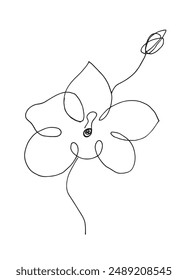 Outline illustration vector image of an orchid.
Hand drawn artwork of an orchid.
Simple cute original logo.
Hand drawn vector illustration for posters.