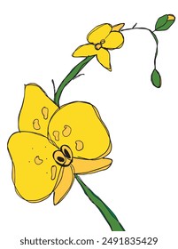 Outline illustration vector image of an orchid.
Hand drawn artwork of an orchid.
Simple cute original logo.
Hand drawn vector illustration for posters.