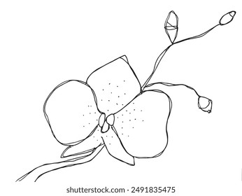 Outline illustration vector image of an orchid.
Hand drawn artwork of an orchid.
Simple cute original logo.
Hand drawn vector illustration for posters.