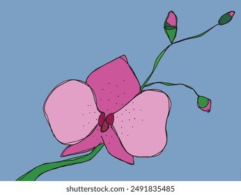 Outline illustration vector image of an orchid.
Hand drawn artwork of an orchid.
Simple cute original logo.
Hand drawn vector illustration for posters.