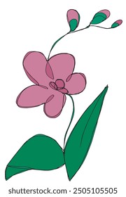 Outline illustration vector image of an orchid.
Hand drawn artwork of an orchid flower.
Simple cute original logo.
Hand drawn vector illustration for posters.