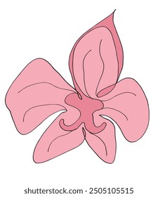 Outline illustration vector image of an orchid.
Hand drawn artwork of an orchid flower.
Simple cute original logo.
Hand drawn vector illustration for posters.