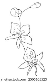 Outline illustration vector image of an orchid.
Hand drawn artwork of an orchid flower.
Simple cute original logo.
Hand drawn vector illustration for posters.