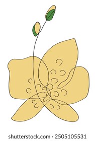 Outline illustration vector image of an orchid.
Hand drawn artwork of an orchid flower.
Simple cute original logo.
Hand drawn vector illustration for posters.