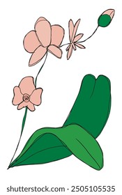 Outline illustration vector image of an orchid.
Hand drawn artwork of an orchid flower.
Simple cute original logo.
Hand drawn vector illustration for posters.