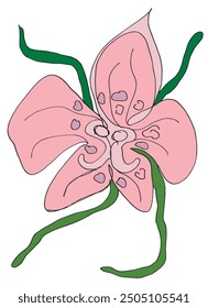 Vektorbild einer Orchidee mit einer Kontur.
Handgezeichnetes Kunstwerk einer Orchideenblume.
Einfaches, niedliches Original-Logo.
Handgezeichnete Vektorgrafik für Poster.
