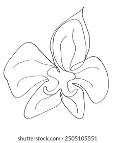 Outline illustration vector image of an orchid.
Hand drawn artwork of an orchid flower.
Simple cute original logo.
Hand drawn vector illustration for posters.