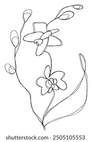 Outline illustration vector image of an orchid.
Hand drawn artwork of an orchid flower.
Simple cute original logo.
Hand drawn vector illustration for posters.