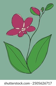 Outline illustration vector image of an orchid.
Hand drawn artwork of an orchid flower.
Simple cute original logo.
Hand drawn vector illustration for posters.