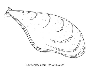 Outline illustration vector image of an oyster.
Hand drawn artwork of an oyster.
Simple cute original logo.
Hand drawn vector illustration for posters.