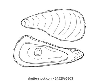 Outline illustration vector image of an oyster.
Hand drawn artwork of an oyster.
Simple cute original logo.
Hand drawn vector illustration for posters.