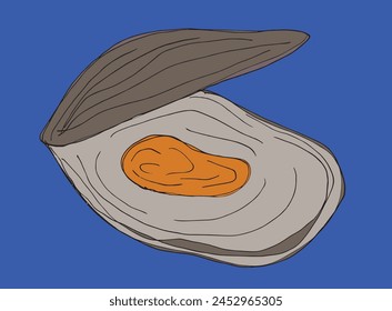 Outline illustration vector image of an oyster.
Hand drawn artwork of an oyster.
Simple cute original logo.
Hand drawn vector illustration for posters.