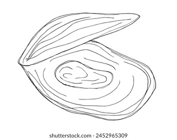 Outline illustration vector image of an oyster.
Hand drawn artwork of an oyster.
Simple cute original logo.
Hand drawn vector illustration for posters.