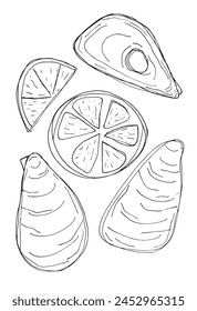 Outline illustration vector image of an oyster.
Hand drawn artwork of an oyster.
Simple cute original logo.
Hand drawn vector illustration for posters.