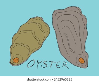 Outline illustration vector image of an oyster.
Hand drawn artwork of an oyster.
Simple cute original logo.
Hand drawn vector illustration for posters.