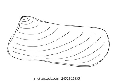 Outline illustration vector image of an oyster.
Hand drawn artwork of an oyster.
Simple cute original logo.
Hand drawn vector illustration for posters.