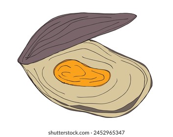 Outline illustration vector image of an oyster.
Hand drawn artwork of an oyster.
Simple cute original logo.
Hand drawn vector illustration for posters.