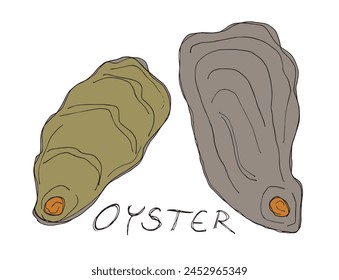 Outline illustration vector image of an oyster.
Hand drawn artwork of an oyster.
Simple cute original logo.
Hand drawn vector illustration for posters.