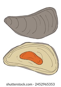 Outline illustration vector image of an oyster.
Hand drawn artwork of an oyster.
Simple cute original logo.
Hand drawn vector illustration for posters.