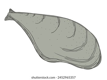 Outline illustration vector image of an oyster.
Hand drawn artwork of an oyster.
Simple cute original logo.
Hand drawn vector illustration for posters.