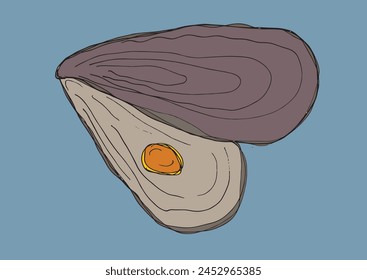 Outline illustration vector image of an oyster.
Hand drawn artwork of an oyster.
Simple cute original logo.
Hand drawn vector illustration for posters.