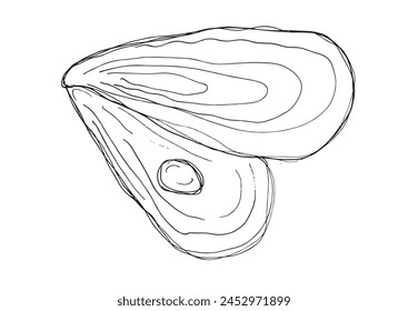 Outline illustration vector image of an oyster.
Hand drawn artwork of an oyster.
Simple cute original logo.
Hand drawn vector illustration for posters.