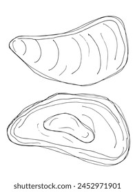 Outline illustration vector image of an oyster.
Hand drawn artwork of an oyster.
Simple cute original logo.
Hand drawn vector illustration for posters.