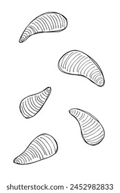 Outline illustration vector image of an oyster.
Hand drawn artwork of an oyster.
Simple cute original logo.
Hand drawn vector illustration for posters.