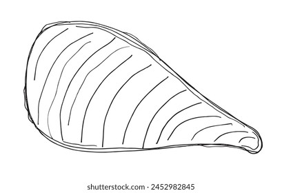 Outline illustration vector image of an oyster.
Hand drawn artwork of an oyster.
Simple cute original logo.
Hand drawn vector illustration for posters.