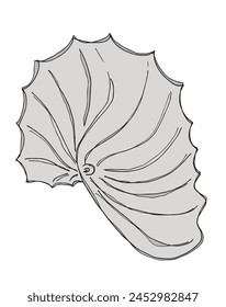 Outline illustration vector image of an oyster.
Hand drawn artwork of an oyster.
Simple cute original logo.
Hand drawn vector illustration for posters.