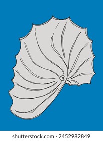 Outline illustration vector image of an oyster.
Hand drawn artwork of an oyster.
Simple cute original logo.
Hand drawn vector illustration for posters.