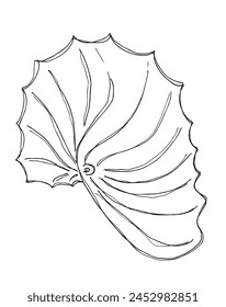 Outline illustration vector image of an oyster.
Hand drawn artwork of an oyster.
Simple cute original logo.
Hand drawn vector illustration for posters.