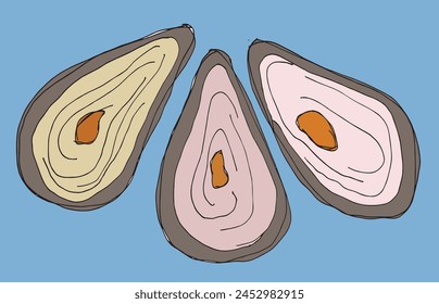 Outline illustration vector image of an oyster.
Hand drawn artwork of an oyster.
Simple cute original logo.
Hand drawn vector illustration for posters.