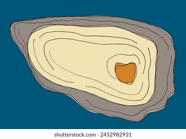 Outline illustration vector image of an oyster.
Hand drawn artwork of an oyster.
Simple cute original logo.
Hand drawn vector illustration for posters.